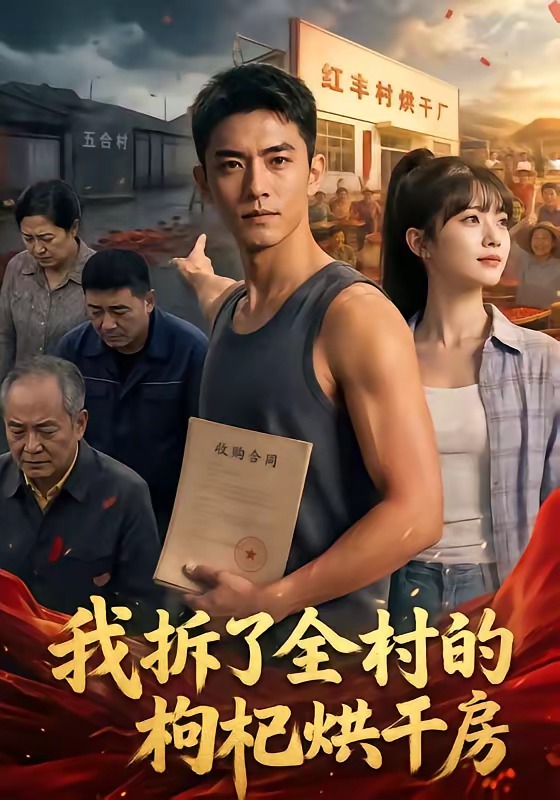 我拆了全村的枸杞烘干房